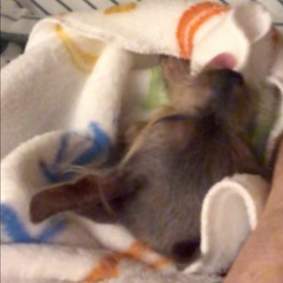 Meet your Posher, Vickie Jean - Picture 7 of 8